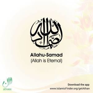 Meet your Posher, Adrian